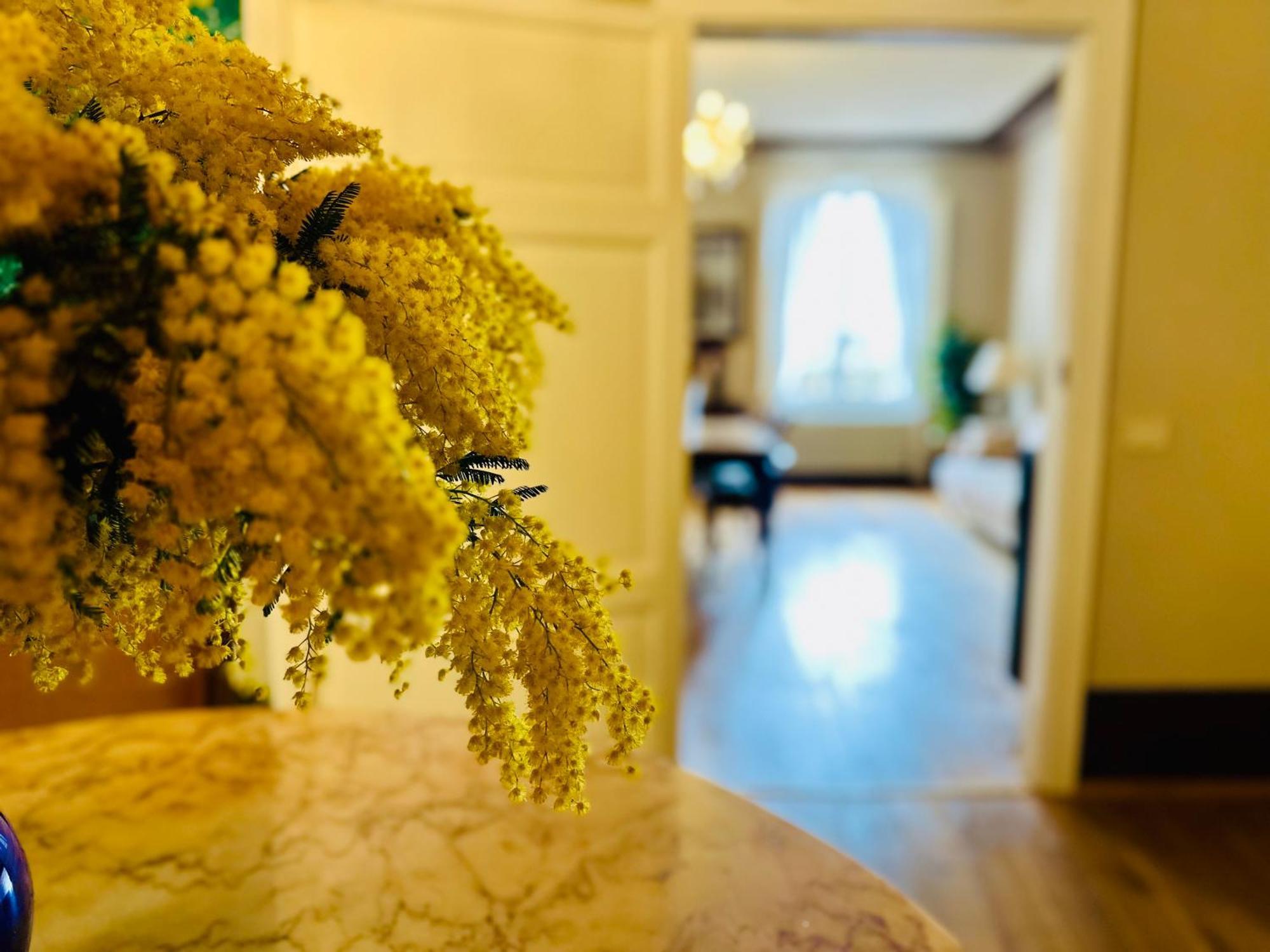 Domus An- Two Bedrooms Apartment -Antique And Historical Home Σιένα Εξωτερικό φωτογραφία